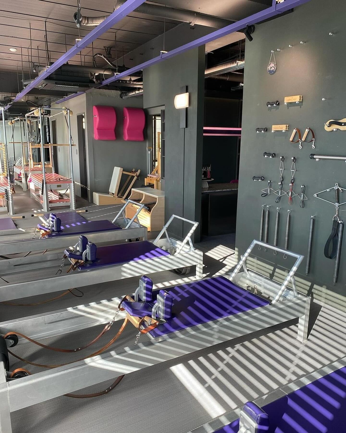 contrology reformers violet