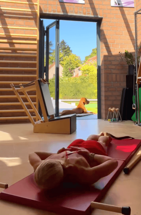 Contrology folding mat cherry