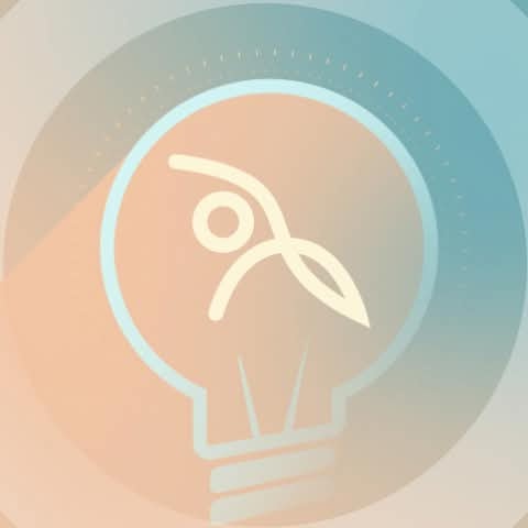lightbulb icon