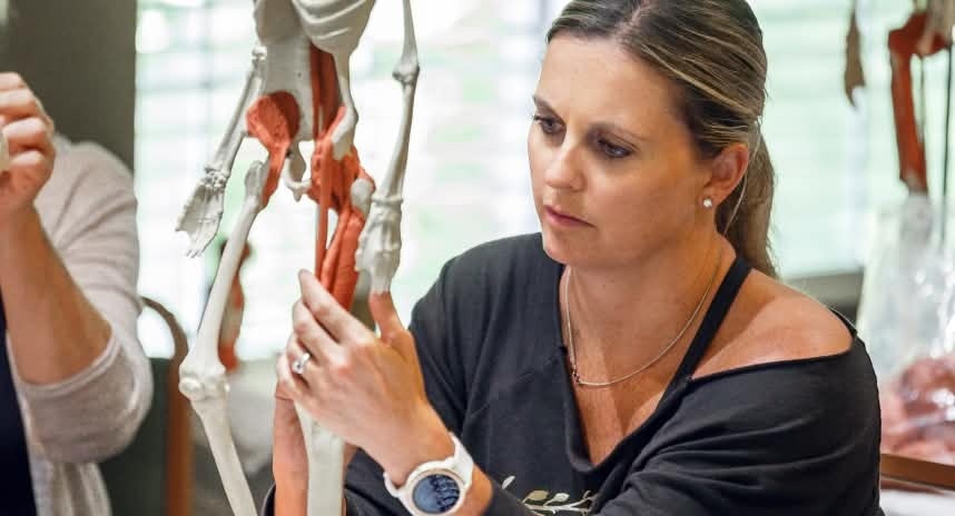 woman using clay and skeleton model for anatomy