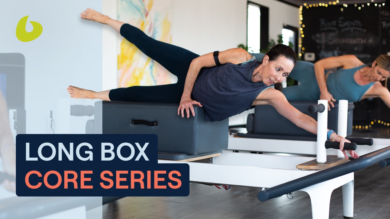 Balanced Body Plank Bars for Allegro 2